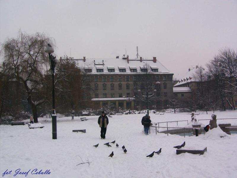 18.01.2006, Bytom - Plac Akademicki, Sląski Uniwersytet Medyczny