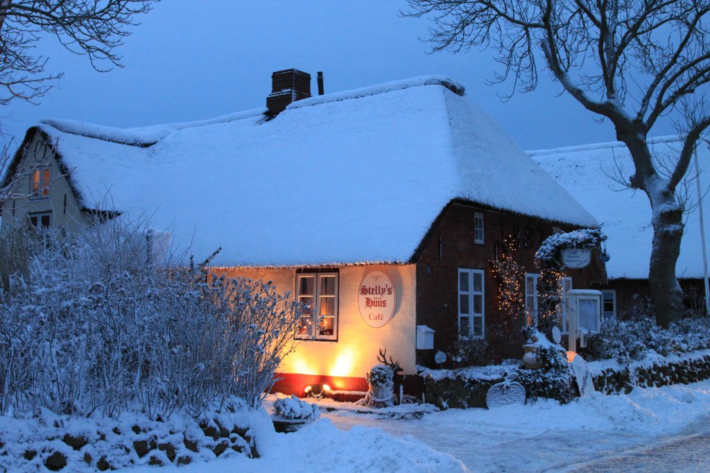 22.12.2010: 2 Tage vor Heiligabend an Stelly's Hs in Oldsum auf Fhr - Winter wie aus dem Bilderbuch.