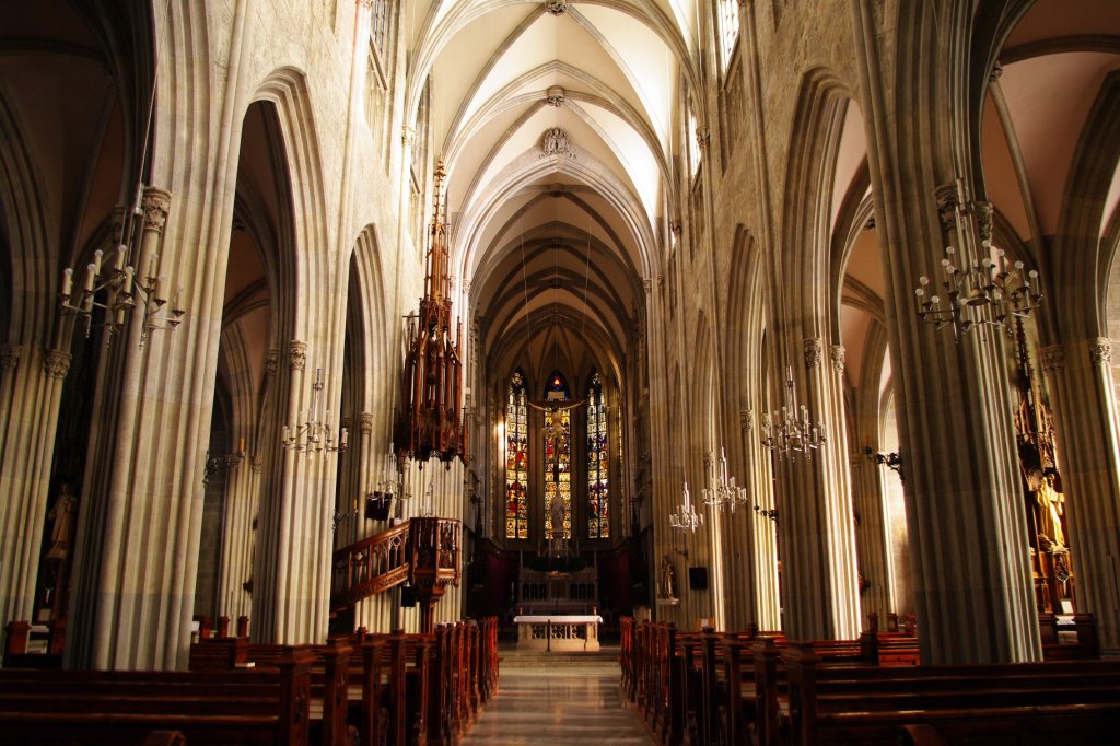 Admont, Stiftskirche St. Blasius, Langhaus mit je 5 Seitenkapellen und 6 Altren (28.11.2009)