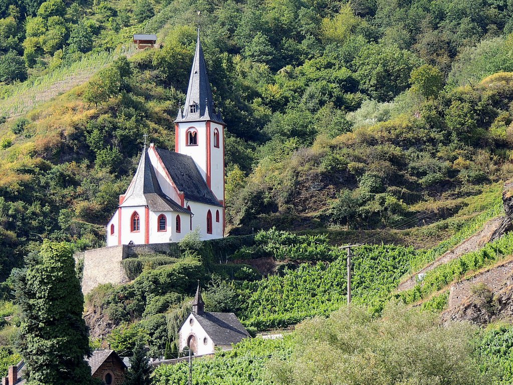 Alte Pfarrkirche St. Johann bettet sich harmonisch in die Weinberge bei Hatzenport; 120822