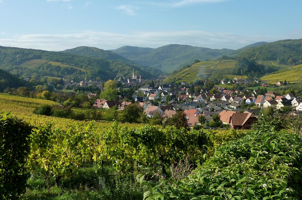 Andlau, Blick auf den Weinort am Fue der Vogesen und an der Elser Weinstrae, Okt.2012