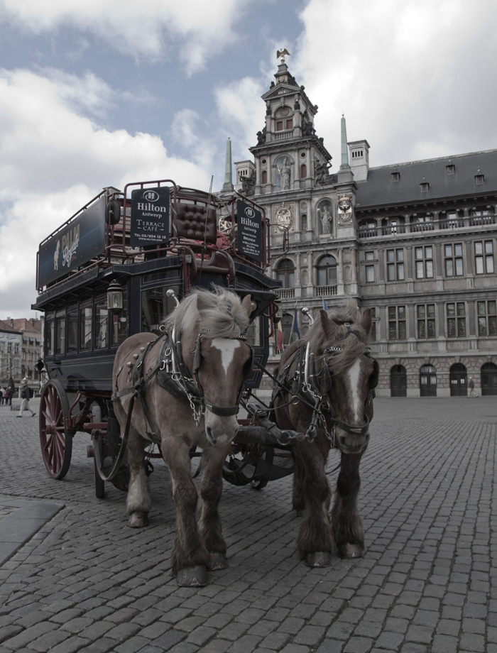 Antwerpen Stadhuis - Kutsche und Pferde vor dem Rathaus in Antwerpen.