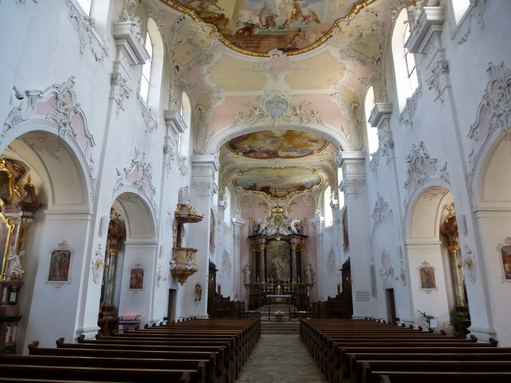 Arlesheim, Blick in den Innenraum der Domkirche, Juli 2013