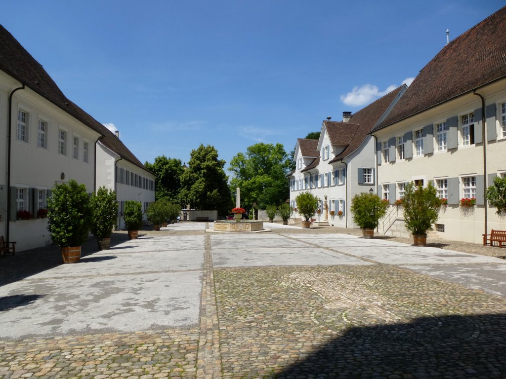 Arlesheim, Blick vom Kircheneingang ber den Domplatz mit den Domherrenhusern, Juli 2013, 