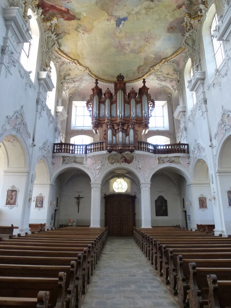 Arlesheim, Blick zur Orgelempore in der Domkirche, Juli 2013