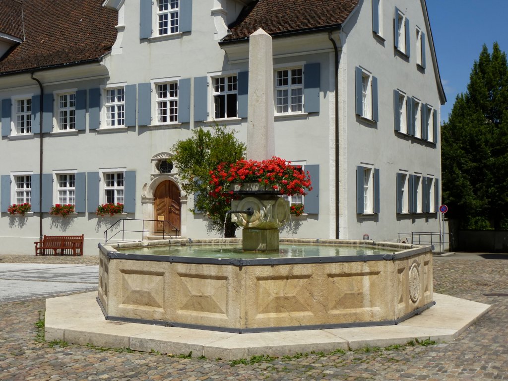 Arlesheim, der Brunnen auf dem Domplatz, Juli 2013