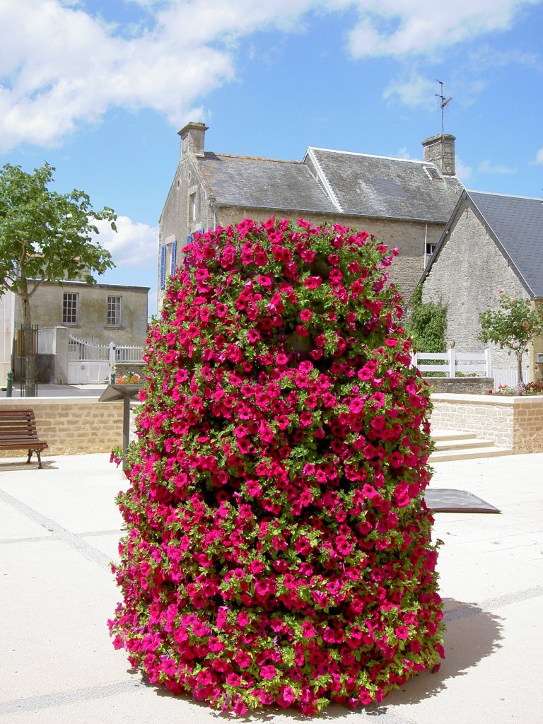 Arromanches, Blumengesteck am Rathausplatz (05.07.2008)