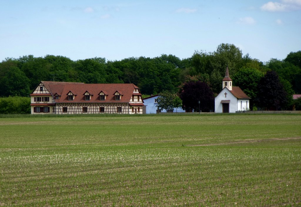 Artolsheim im Elsa, landwirtschaftliches Gut mit Hofkapelle bei Artolsheim, Mai 2013