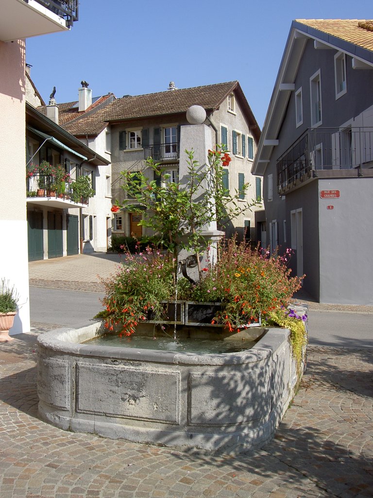 Aubonne, Brunnen am Place Bourg de Four (07.09.2012)