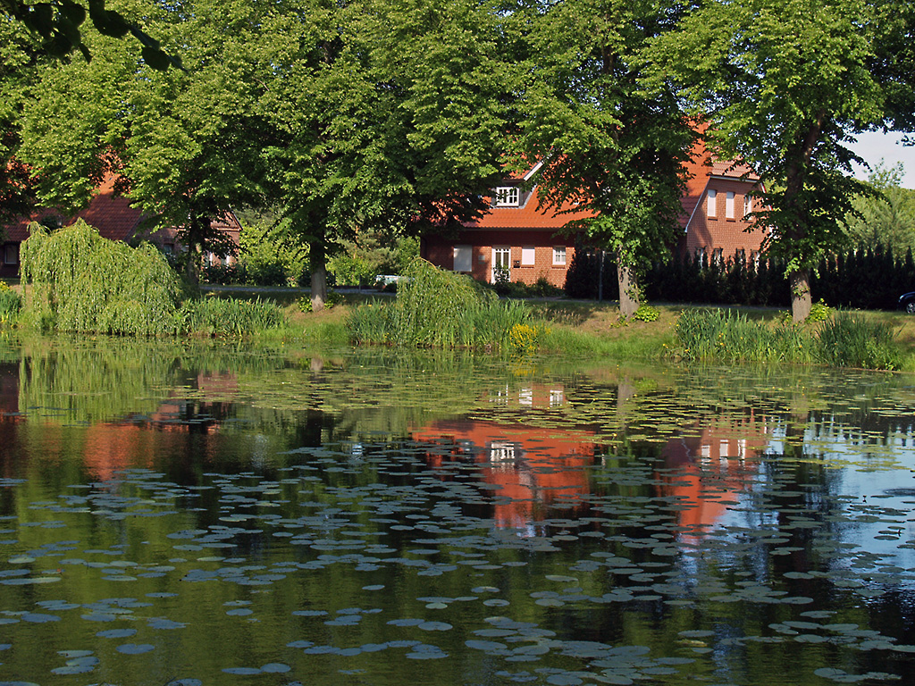 Auch umfangreiche Grnanlagen und Wasserflchen findet man noch in Boizenburg, eine Umgehungsstrasse hlt den Verkehr auen vor, so dass hier ein richtig idyllischer Ort erhalten blieb. 13.06.2009 