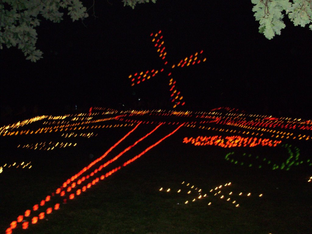 aufgenommen auf dem lichterfes 2008
in bad harzburg im stadtpark
