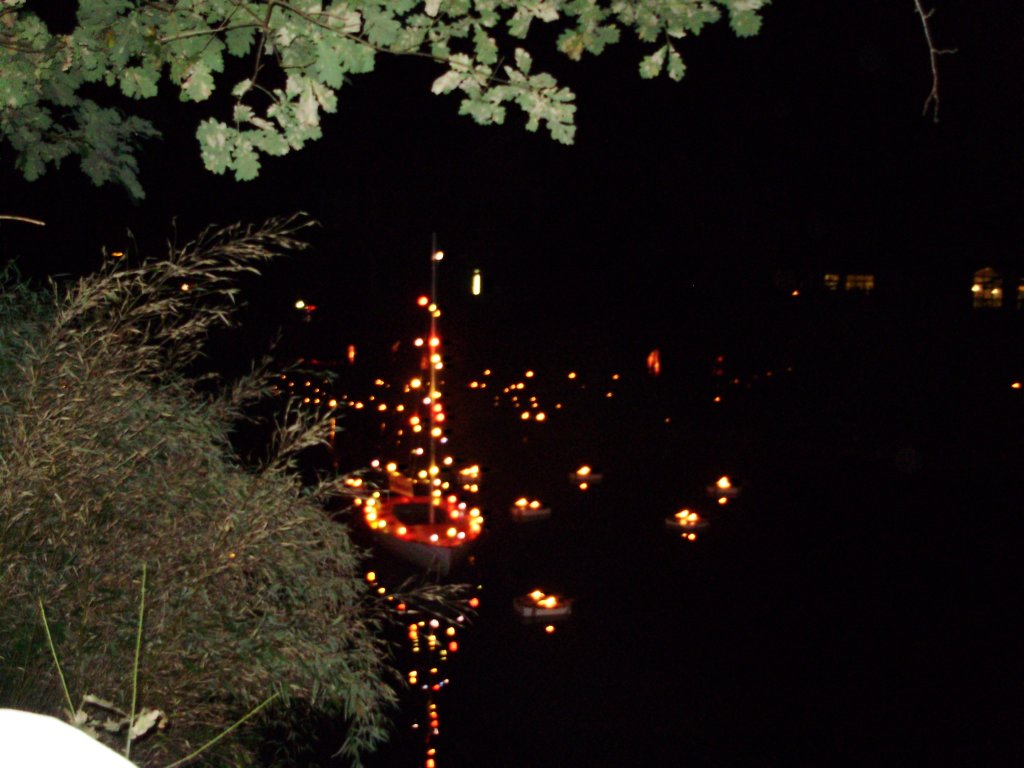 aufgenommen auf dem lichterfest 2008
in bad harzburg in stadtpark
