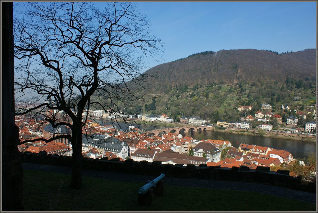 Ausblick von der Terrasse des Schlosses ber Heidelberg
(28.03.2012)