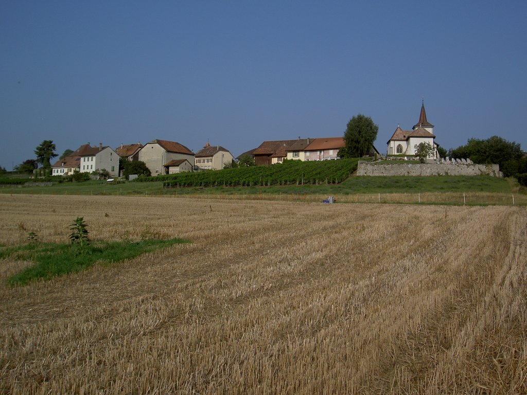 Aussicht auf das Bauerndorf Columbier mit Ref. St. Martin Kirche, erbaut 1228 
(10.09.2012)