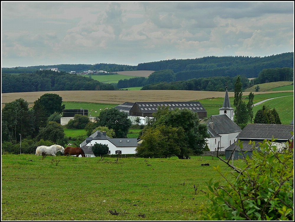 Aussicht auf das Dorf Beiler am 13.08.2010. (Jeanny)