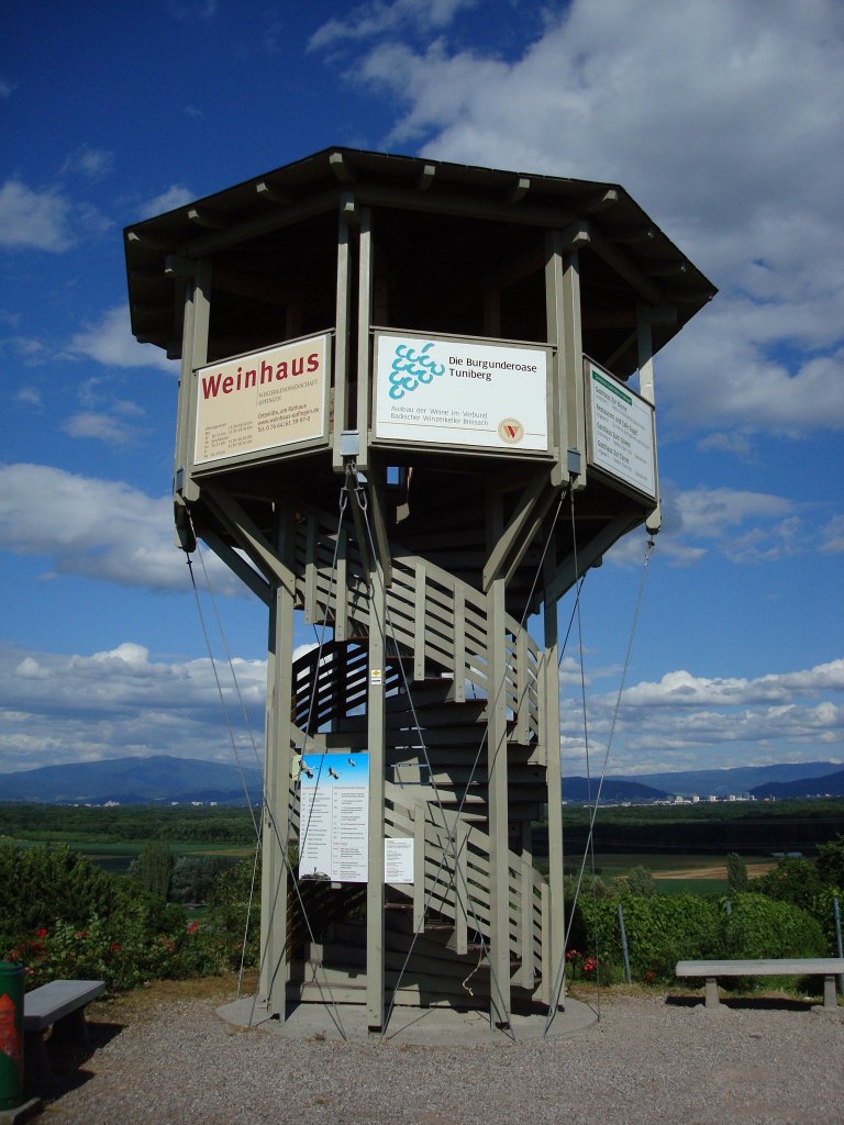 Aussichtsturm in den Weinreben des Tuniberges,
im Hintergrund Freiburg und der Schwarzwald,
2008