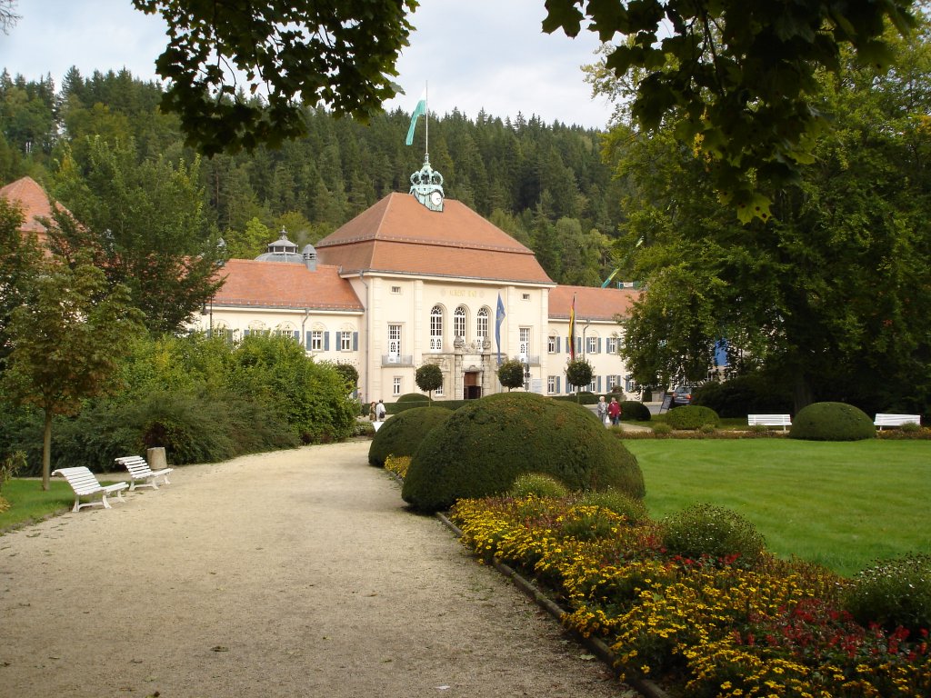 Bad Elster/Vogtland, das 1908 erbaute Albert-Bad, zhlt zu den ltesten Moorheilbdern in Deutschland, der Ort trgt seit 1875 den Zusatz  BAD , Aug.2007
