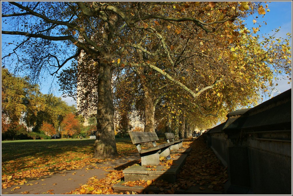 Bnke im Victoria Tower Gardens laden am Themse Ufer zum verweilen ein.
(14.11.2012)