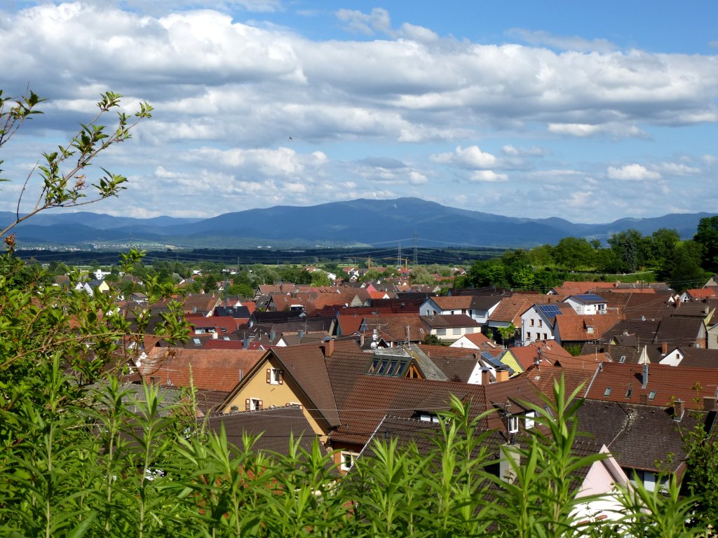 Bahlingen am Kaiserstuhl, Blick ber den Ort und das Freiburger Becken zum Schwarzwald, Juni 2013