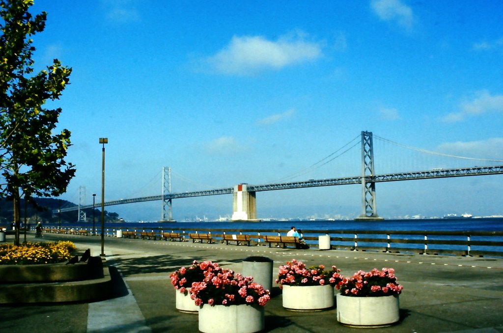 Bay Bridge San Francisco.