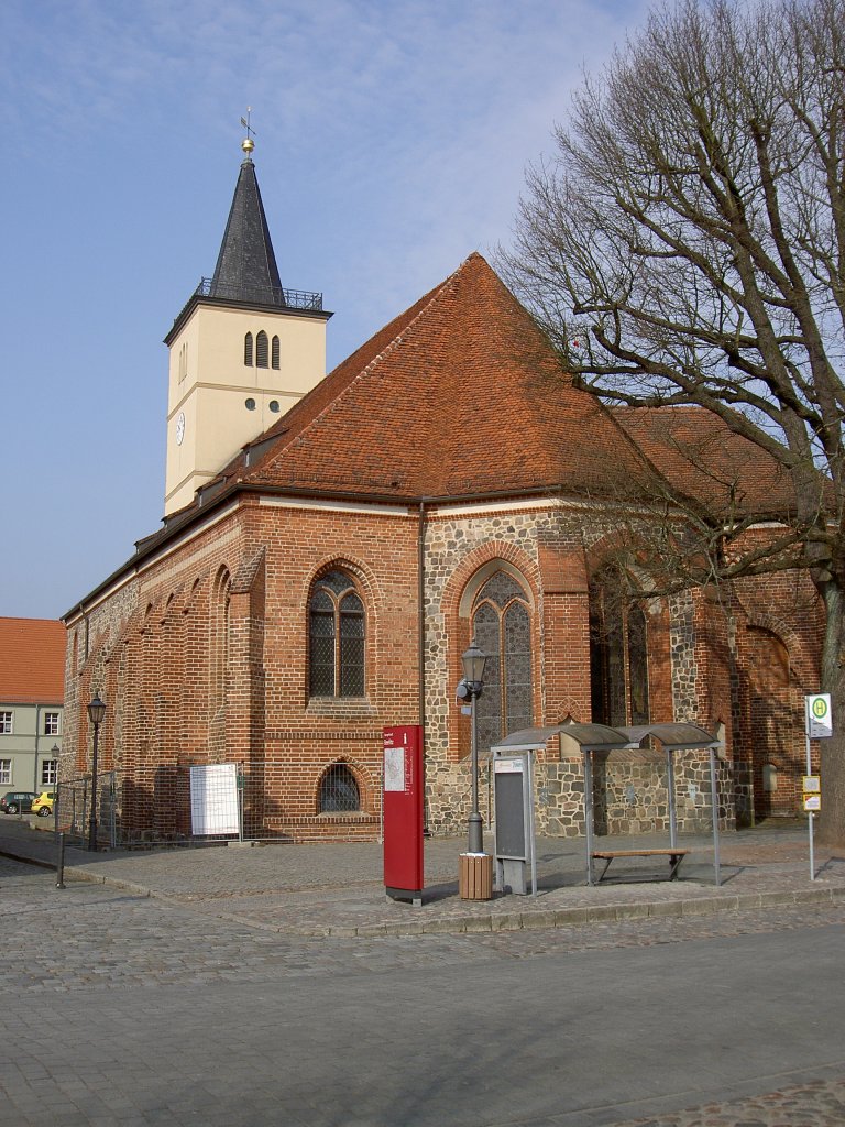 Beelitz, Marienkirche, erbaut ab 1247 als dreischiffige Basilika, Kreis Potsdam 
(18.03.2012)