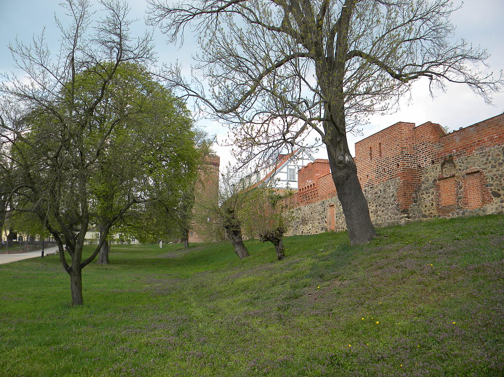 Beeskow Stadtansichten - Stadtmauer 26-04-2013