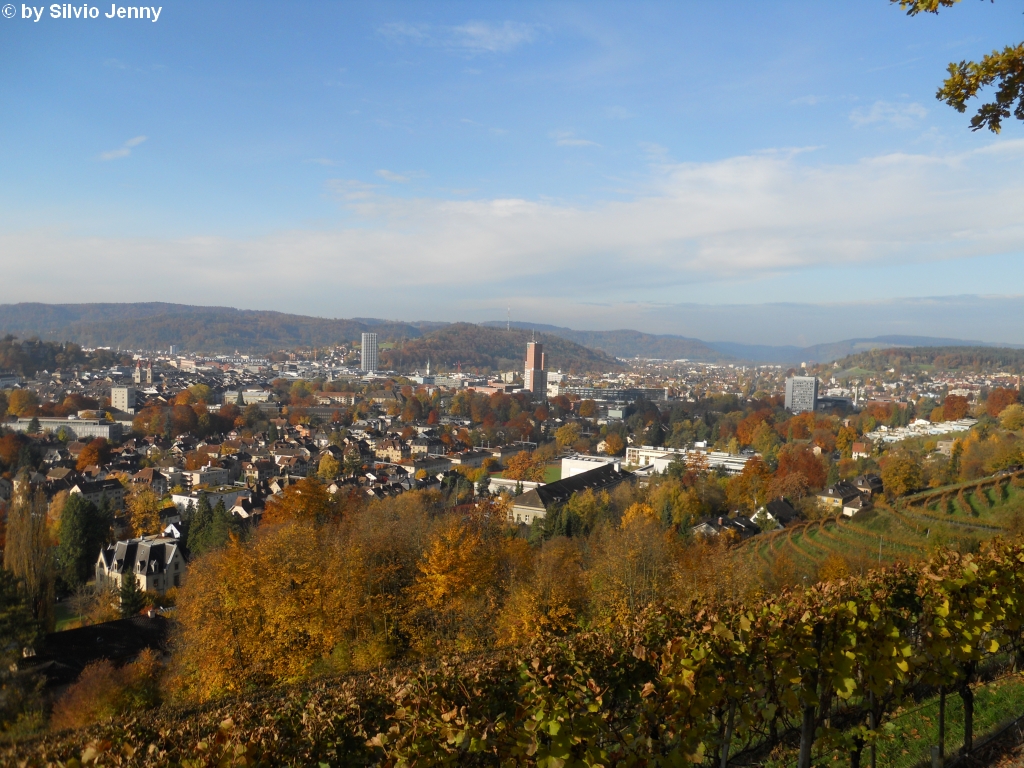 Bekannte Fotostelle vom Bäumli, diesmal ist Winterthur am 31.10.2010 im prächtigen Herbstkleid zu sehen.