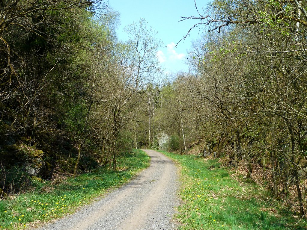 Belgien, Wallonien, Provinz Lttich, Eifel-Ardennen Radweg bei Lommersweiler. 23.04.2011