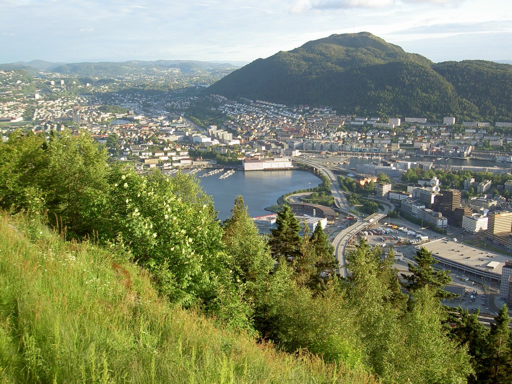 Bergen, Aussicht vom Berg Floien (25.06.2013)
