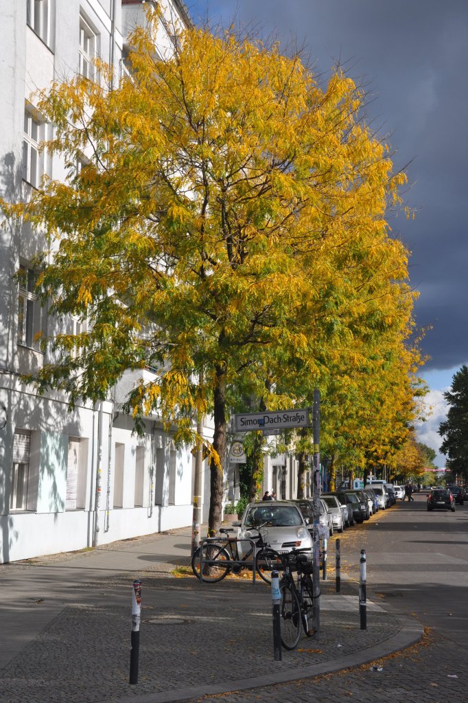 BERLIN, 07.10.2012, Sptherbst in der Revaler Strae (Berlin-Friedrichshain)