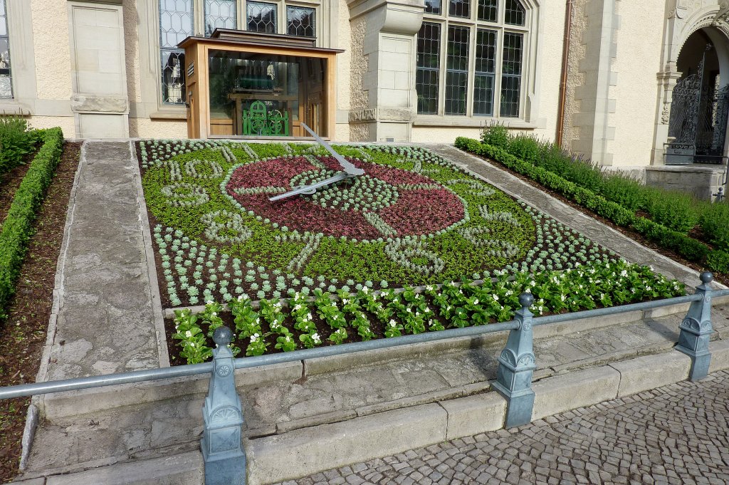 Bernburg, die Blumenuhr vor dem Rathaus, 1938 errichtet zur 800 Jahrfeier der Stadt, Mai 2012