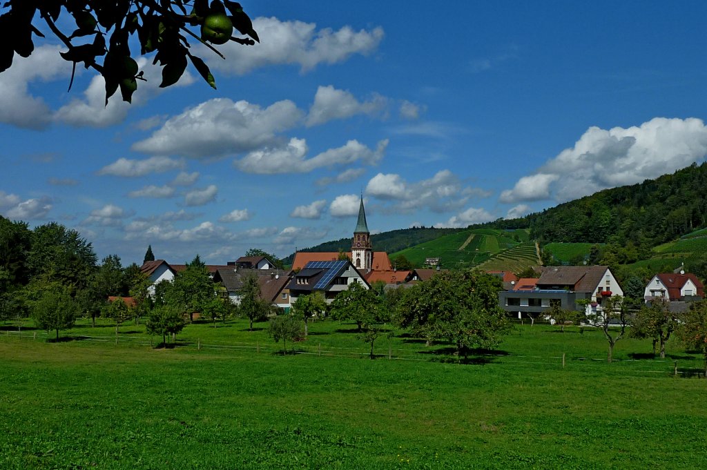 Blick auf den bekannten Schwarzwaldort Glottertal, im Hintergrund die Weinberge, Aug.2011 