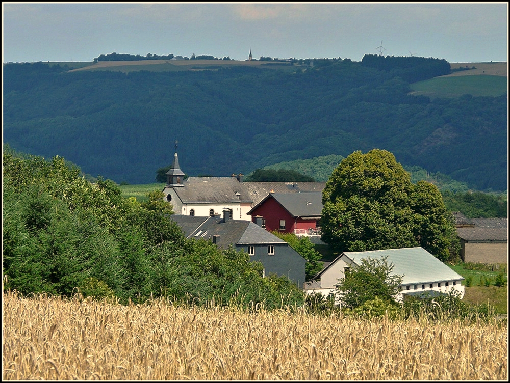 Blick auf das Dorf Ptscheid aufgenommen am 01.08.2010 (Jeanny)
