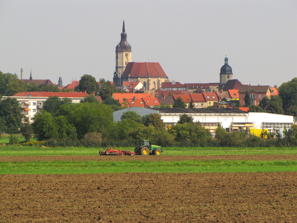 Blick auf die Naumburger Kirchen; 25.08.2011