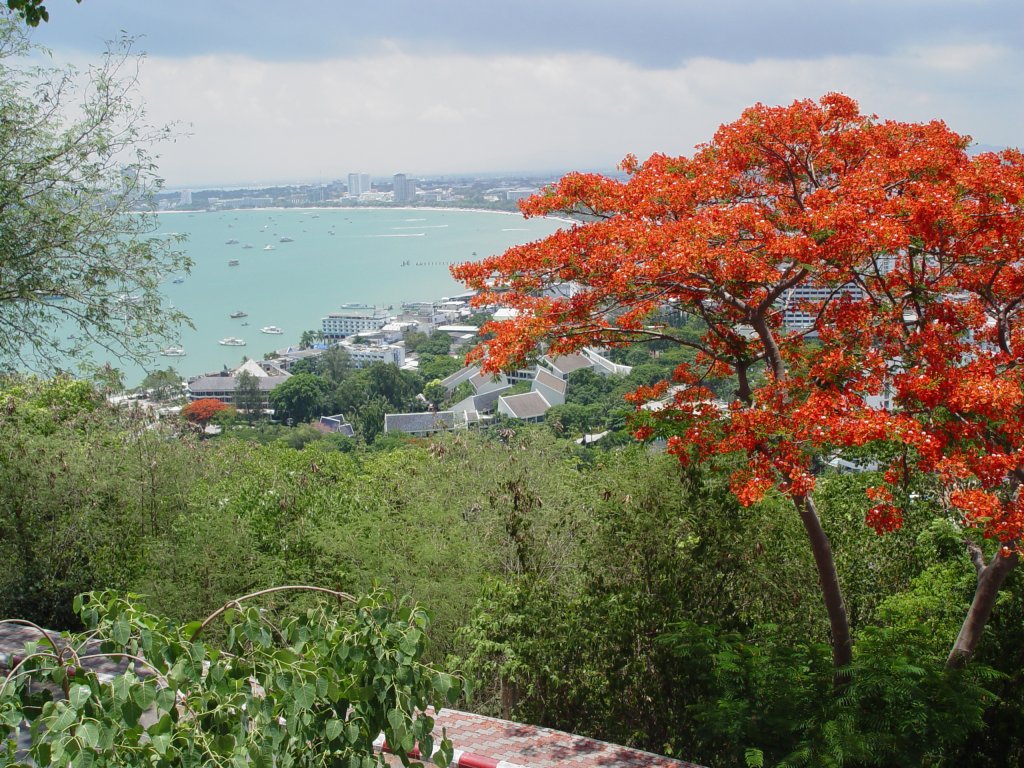Blick auf Stadt und Bucht von Pattaya im Mai 2006