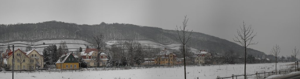 Blick auf die verschneiten Weinberge in Dresden Pillnitz