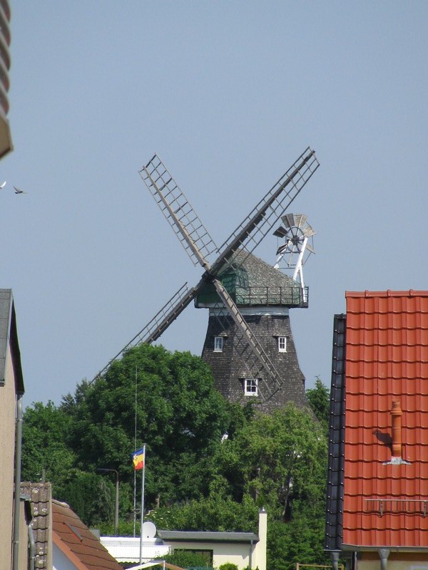 Blick durch Schfergang zur Hollnder Windmhle, Grevesmhlen 05.06.2011