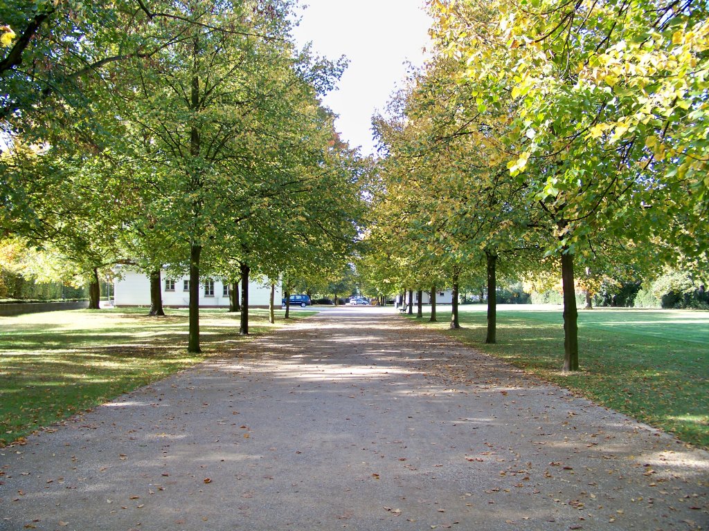 Blick in irgendein Park in Berlin. (Wei nicht wie der Park heit)