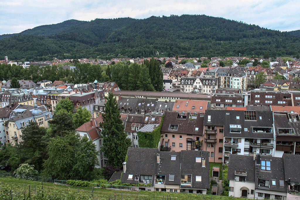 Blick vom Kastaniengarten zur Oberau in Freiburg am 14.06.2013

(Die Oberau war ein frhes Gewerbegebiet vor den Toren der Altstadt, begnstigt durch den von der Dreisam abgezweigten Gewerbekanal, von dem auf dem Gebiet der Oberau auch das Wasser fr die Freiburger Bchle abgezweigt wird.)

Quelle: http://de.wikipedia.org/wiki/Oberau_%28Freiburg_im_Breisgau%29
