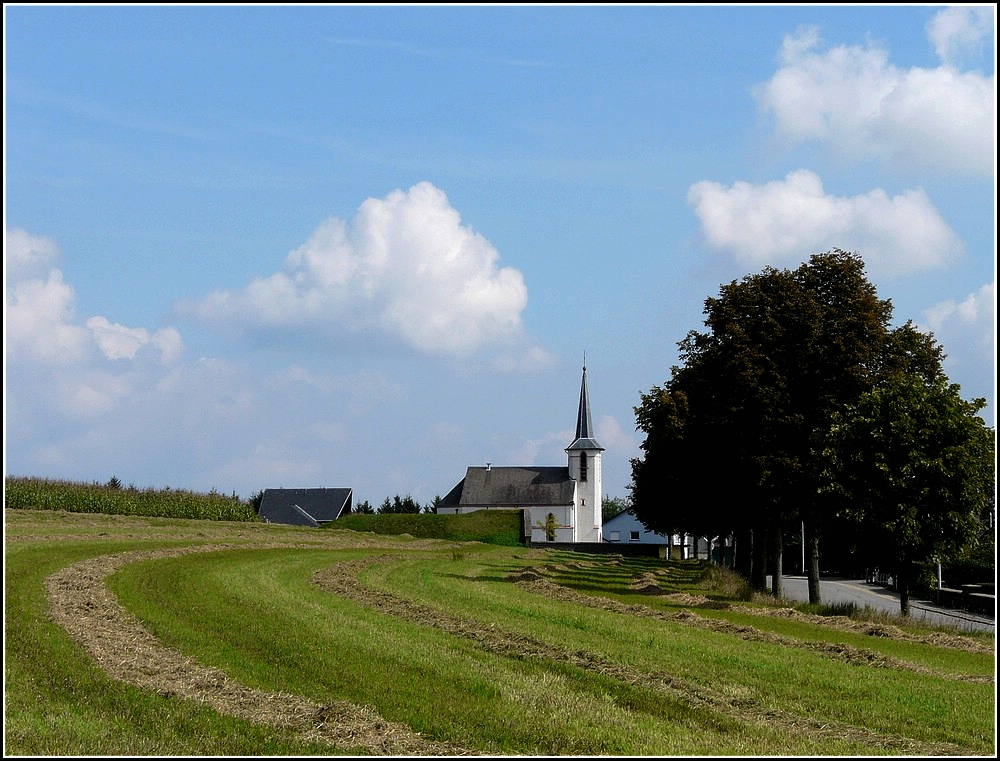 Blick nach Grevels. 04.09.2010 (Jeanny)