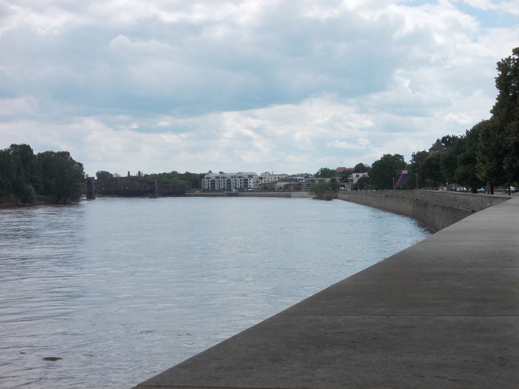 Blick ber die Elbe in Richtung Stadtpark (22.06.13)