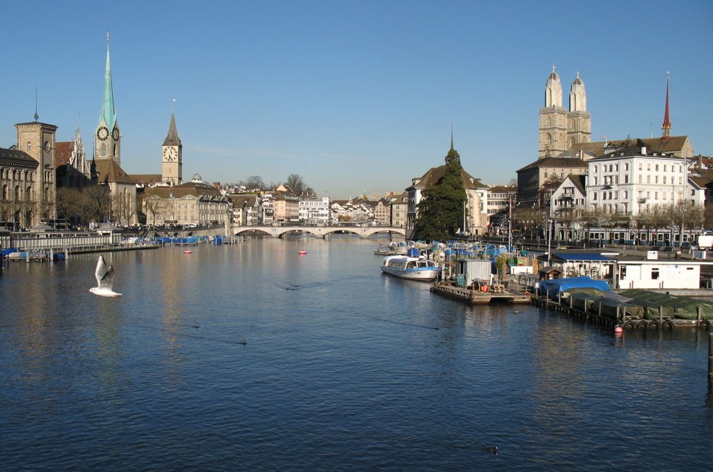 Blick ber die Limmat auf die Kirchen der Stadt:(von links nach rechts) Frauenmnster, St.Peter und auf der rechten Uferseite sieht man das Grossmnster.
(Dezember 2009)