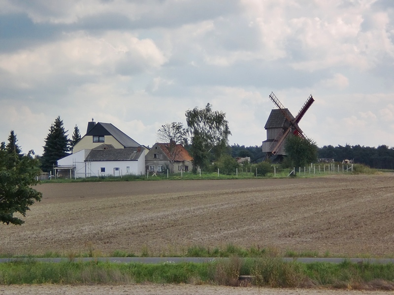 Bockwindmhle (2), Authausen, Landkreis Nordsachsen, 05.09.10