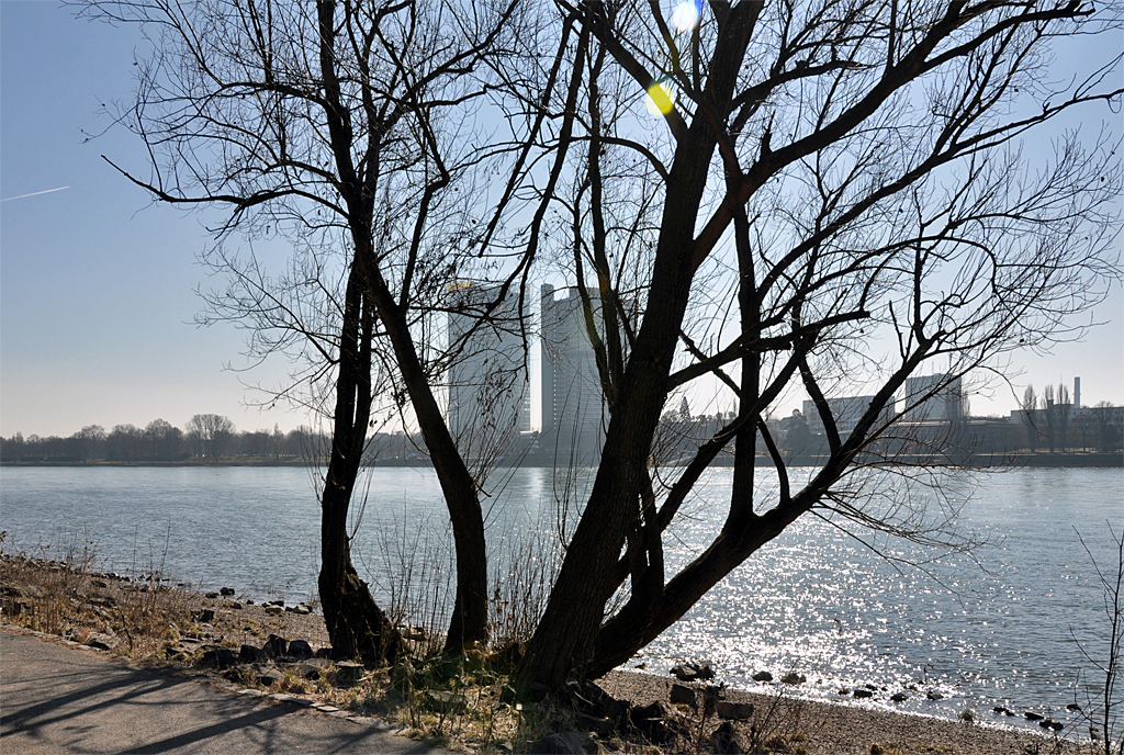 Bonn - Gegenlichtaufnahme ber den Rhein der Telekom- und  UN-Hochhuser - 04.03.2013