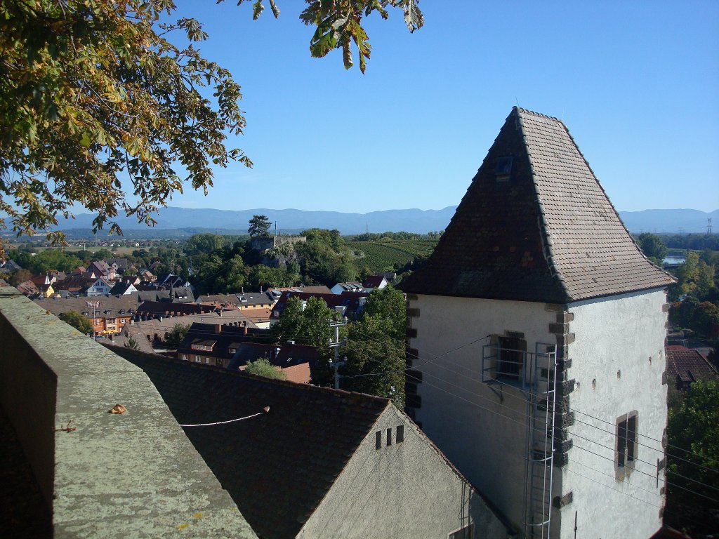 Breisach am Rhein, Blick vom Mnsterplatz zum Eckartsberg, rechts der Hagenbachturm, Okt.2010 