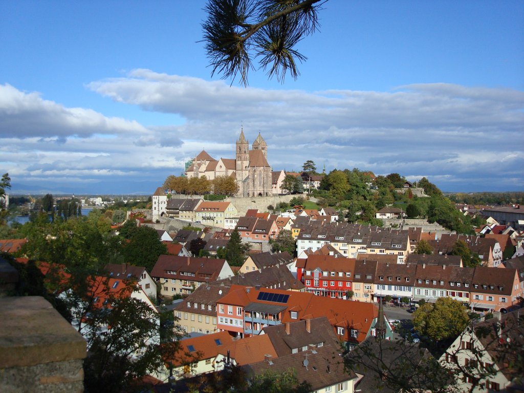 Breisach am Rhein,
Blick vom Eckartsberg auf Stadt und Burgberg mit Mnster,
Okt.2008