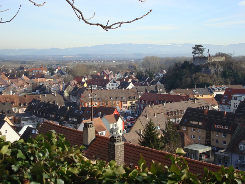 Breisach am Rhein,
Blick ber die Stadt zum Eckartsberg(rechts),
im Hintergrund der Schwarzwald,
Feb.2010