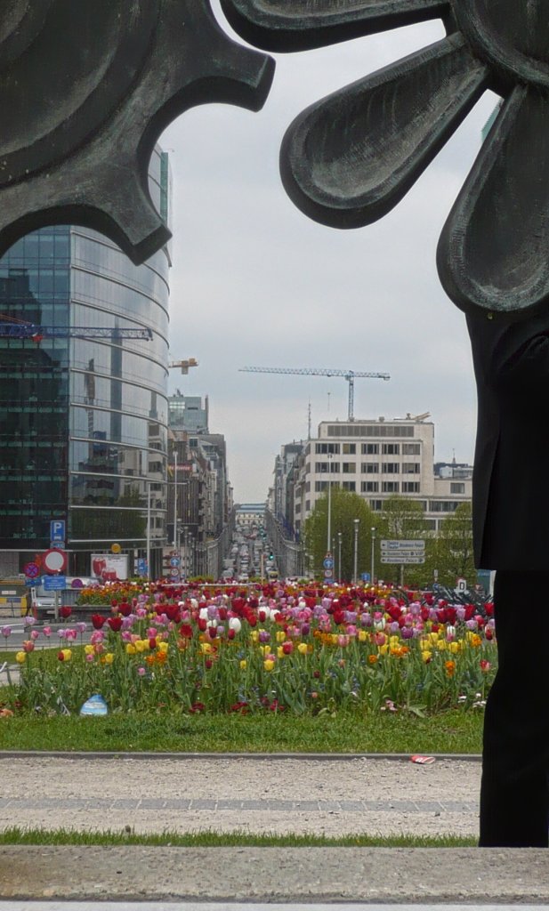 Bruxelles, den 7.05.10 und den  circle of life :
Diese Aufnahme entstand im politischen Viertel der belgischen Hauptstadt. Die Stadt vertritt bekanntlich eine wichtige globale Schlsselposition. Diese Aufnahme sollte deshalb eine fast alltgliche Situation verdeutlichen, die man dann mitmacht, wenn Politiker und sonstige Vertreter aus den Auslndern unter groem Tam Tm der Behrden erscheinen und vorbeifahren. Da an dem Tag und den darauffolgenden Tagen wieder wichtige Meetings stattfanden wurden jegliche Vorbereitungen und Schutzmanahmen getroffen, die man hautnah miterleben durfte. Wenige Minuten spter, nach der diese Aufnahme entstand, konnte man diesen Standpunkt nicht mehr betreten. Weshalb nicht, kann ich nicht genau sagen, denn immerhin handelte es sich bei dieser Stelle lediglich um eine Art  Verkehrsinsel , die den stressigen Alltag auch von einer anderen Seite zeigen kann und zum verweilen und  abschalten  einldt mit der Natur und seinen blhenden Ertrag. Witzig ist, dass es sich bei der rechts stehenden Person, dessen schwarzen Anzug zum Teil sichtbar ist, um einen Auslandskorrespondent handelte (aus sdlichem Raum), der einen (Life?)-Bericht fr´s Fernsehen gab und so den jeweiligen Zuschauern auf den aktuellen Stand der Dinge brachte. Schaut man nun nach rechts, nach links, oder gar zu weit gerade aus, so ist man wieder mitten im Leben. Auffindbar sind neben den unzhligen politischen Institutionen und Botschaften  the Spanish Presidency of the Council of the EU  und die Expo 2010  Shanhai China . Fehle eigentlich zuletzt nur noch unser EU-Kommissar fr Energie, Gnther Oettinger..;)