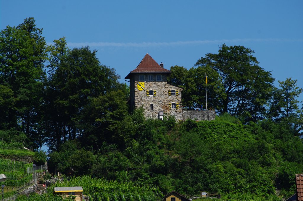 Burg Niederurnen, Kanton Glarus (03.07.2011)