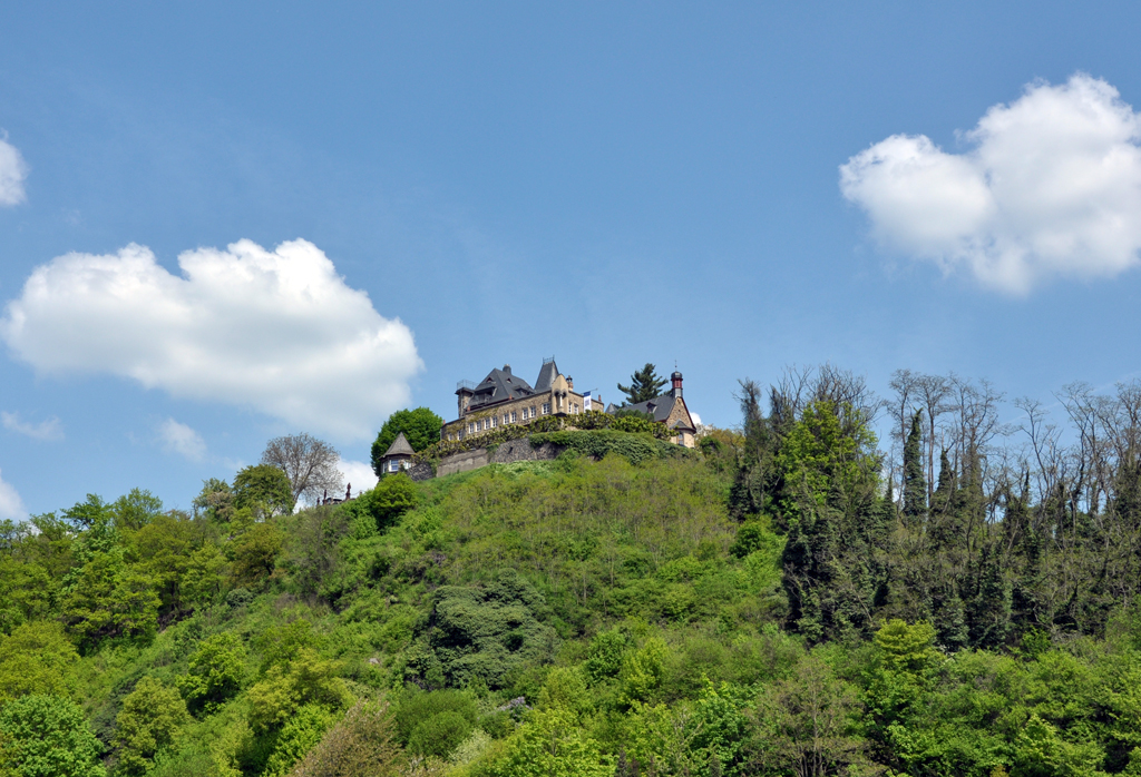 Burg Ockenfels bei Linz/Rhein - 06.05.2013